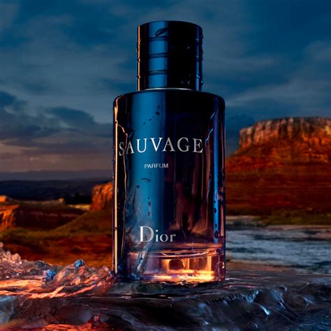 bargello dior sauvage|sauvage perfume Dior.